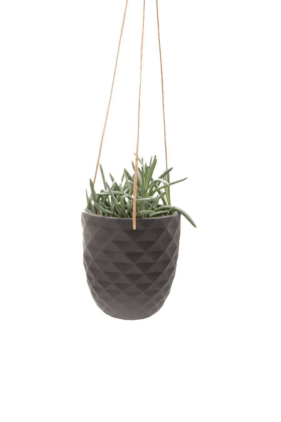 Thimble Porcelain Modern Hanging Planter - Chive Ceramics Studio - Pots - Chive US