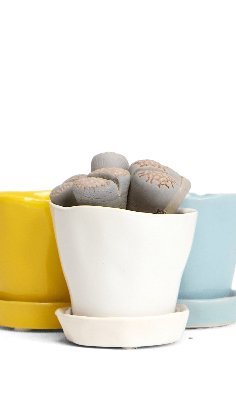 Tika Ceramic Pot & Saucer Set With Drainage - Chive Ceramics Studio - Pots - Chive Ceramics Studio