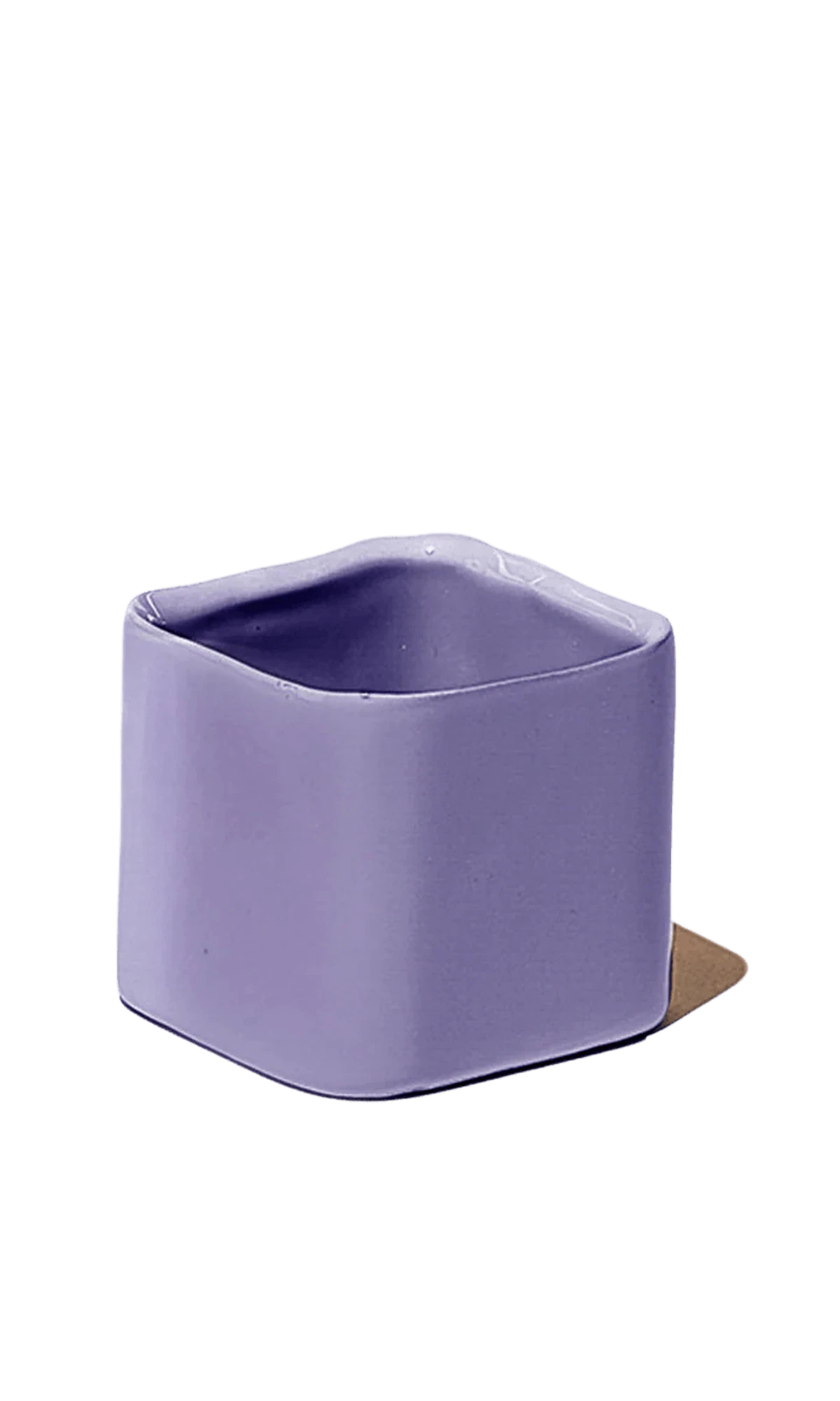 grey lilac