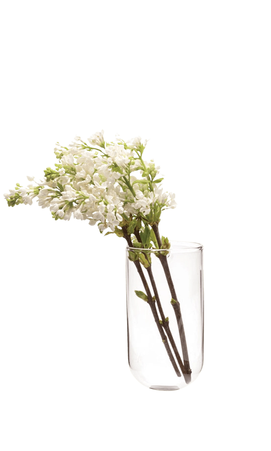 Clear Glass Modern Flower Vase - Wall Cup - handmade by Chive Studio Toronto