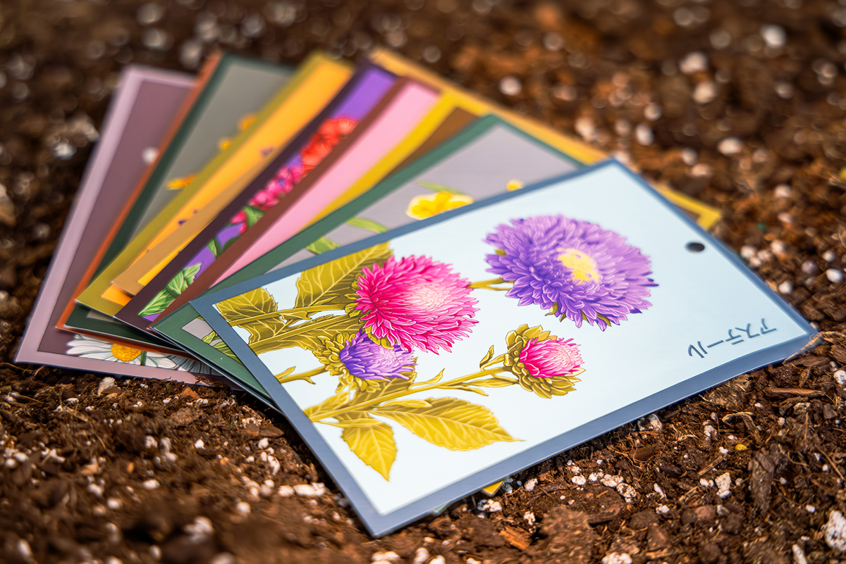 Do Seeds Expire? How Long Do Seeds Last - Shido seed packets by Chive Studio