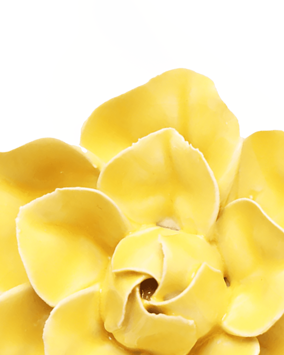 March birth flower: the daffodil in handmade ceramic - Chive Studio
