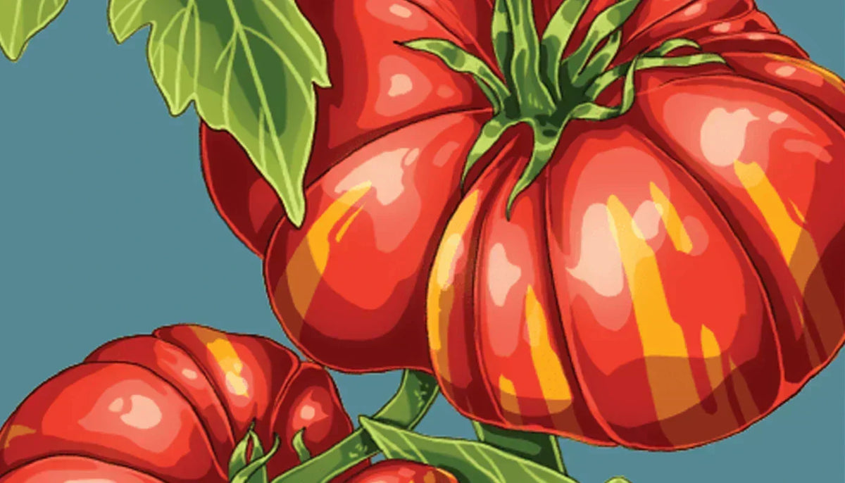 Heirloom vs Hybrid Seeds: What Actually Differs, Shido, Chive Studio