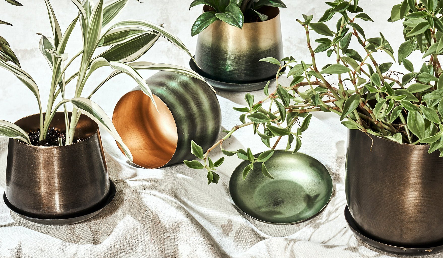 Will A Rusty Pot Kill a Plant? - Chive Ceramics Studio