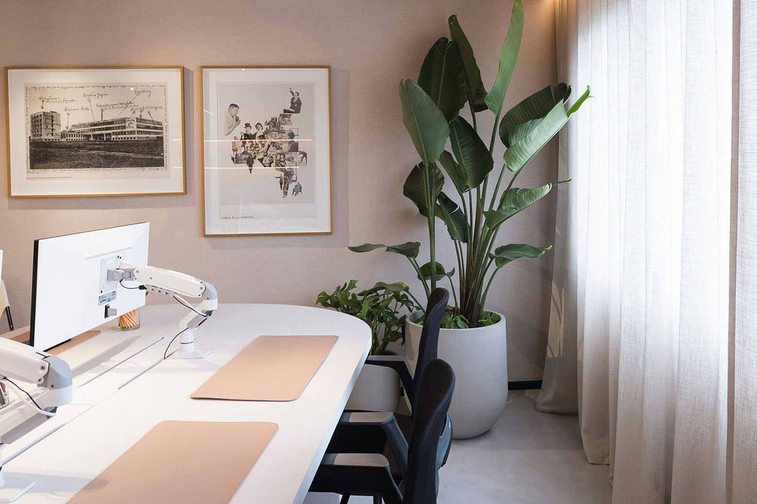 Modern office space with a large Bird of Paradise plant and desk setup - Chive Studio
