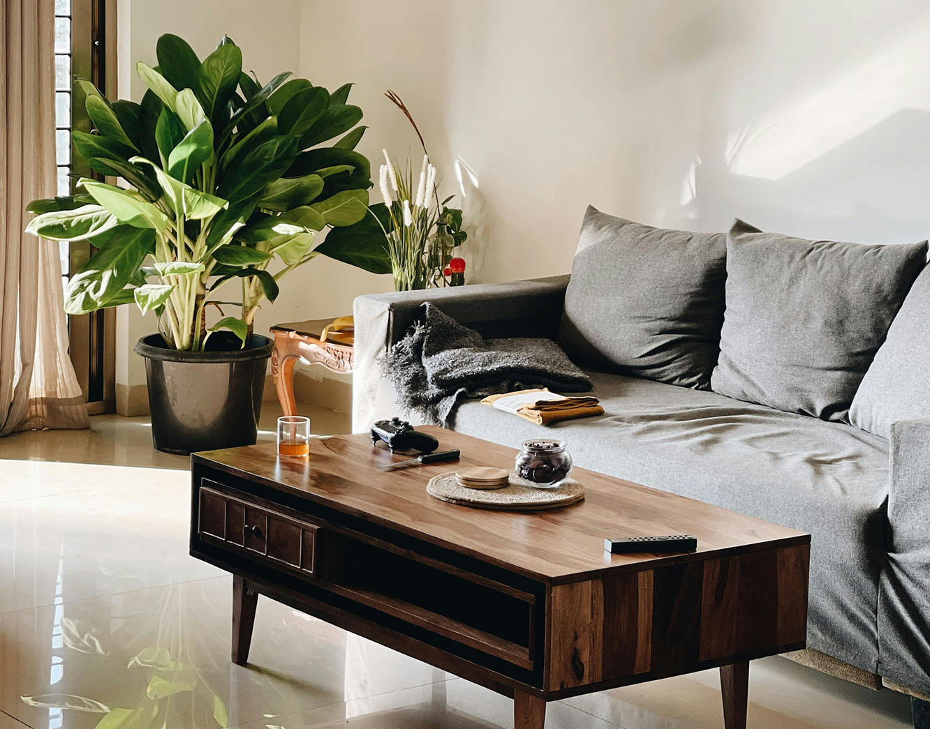 Best low light plants by room — Chive Studio, Toronto