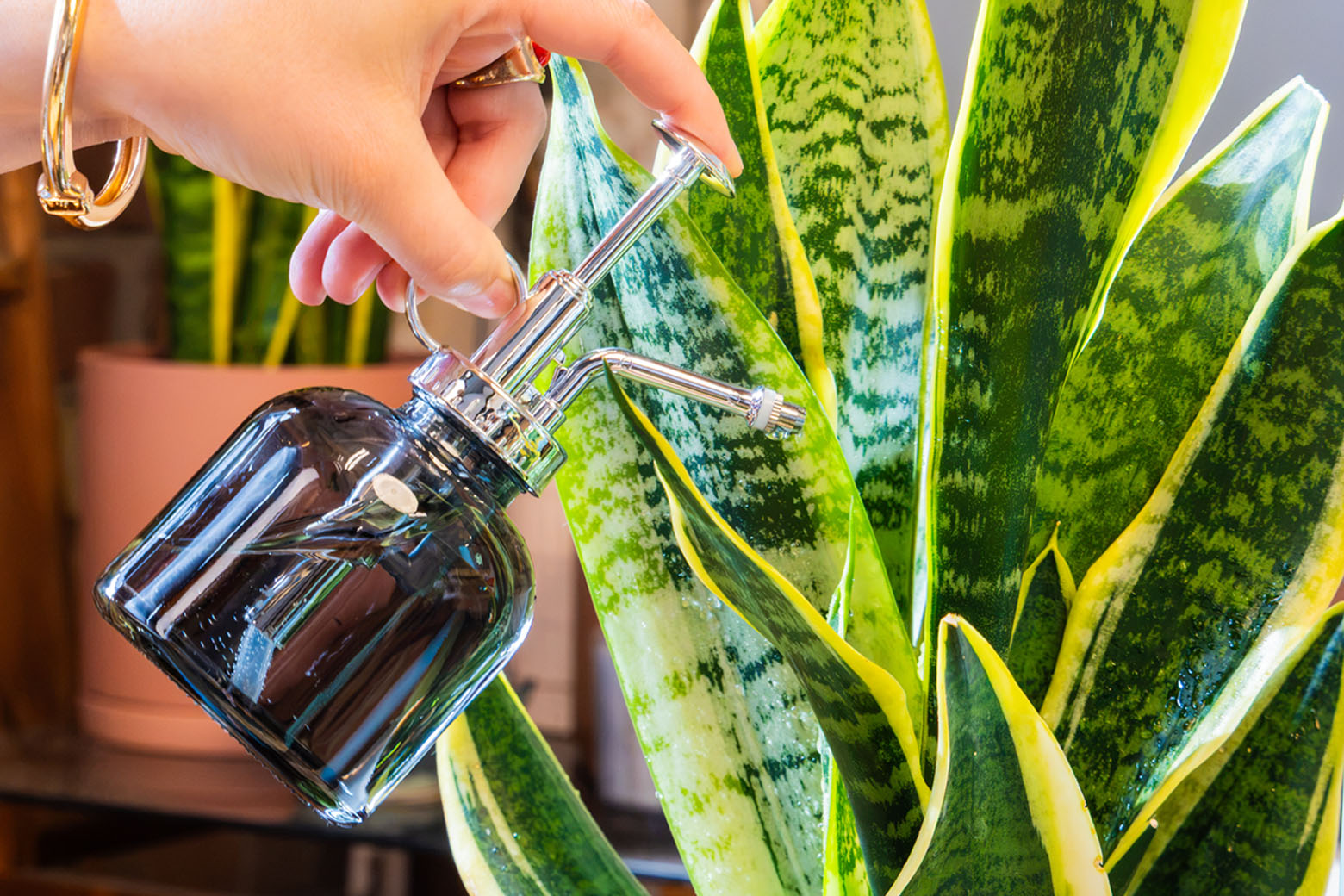 A hand holding a Chive Studio Mr Mister black glass plant spray bottle, watering a green plant.