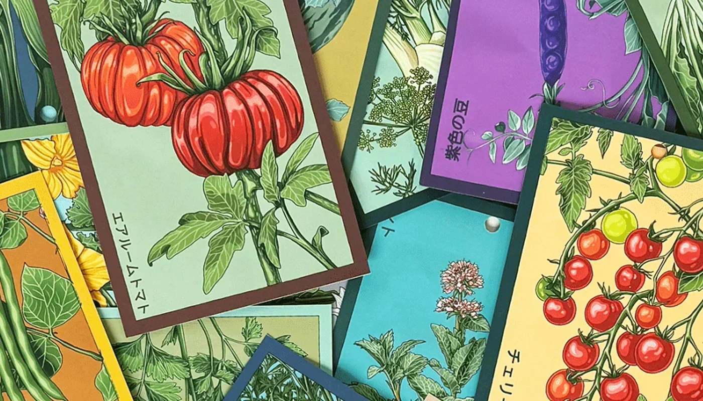 Are Seed Packets GMO? The Honest Answer - Shido
