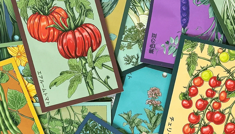 Are Seed Packets GMO? The Honest Answer - Shido