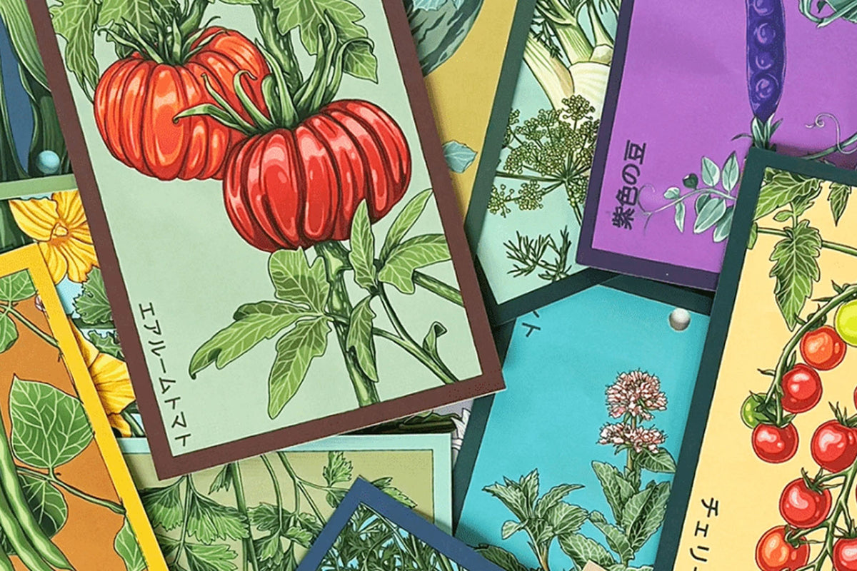 Shido seed packets for vegetable and floral category, by Chive Studio