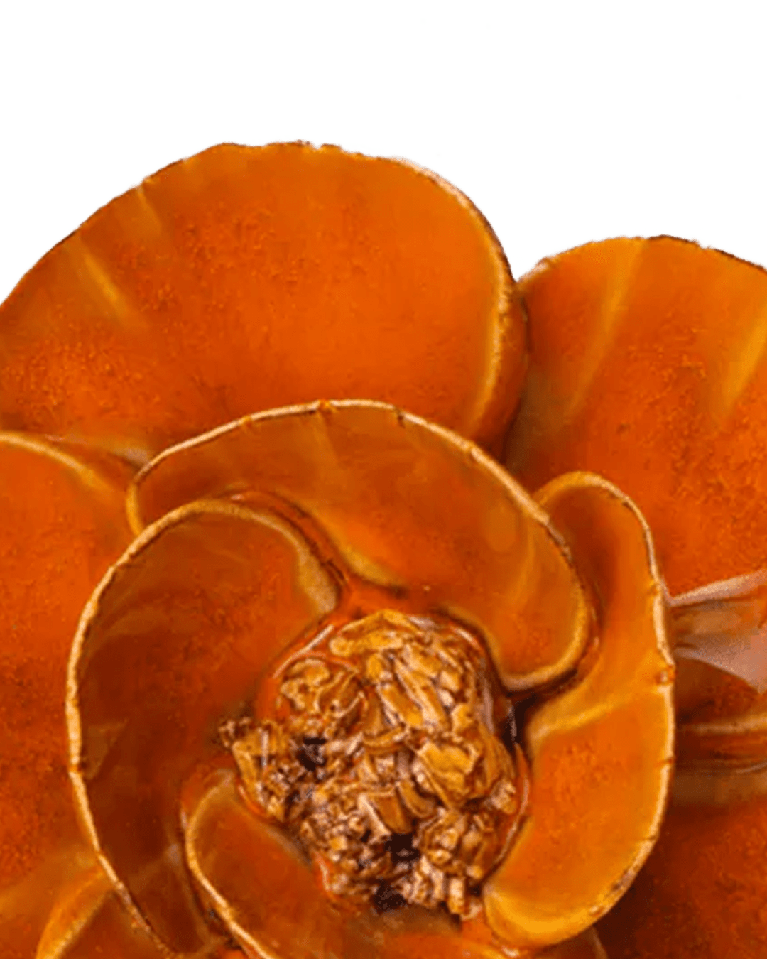 August birth flower: the poppy in handmade ceramic - Chive Ceramics Studio