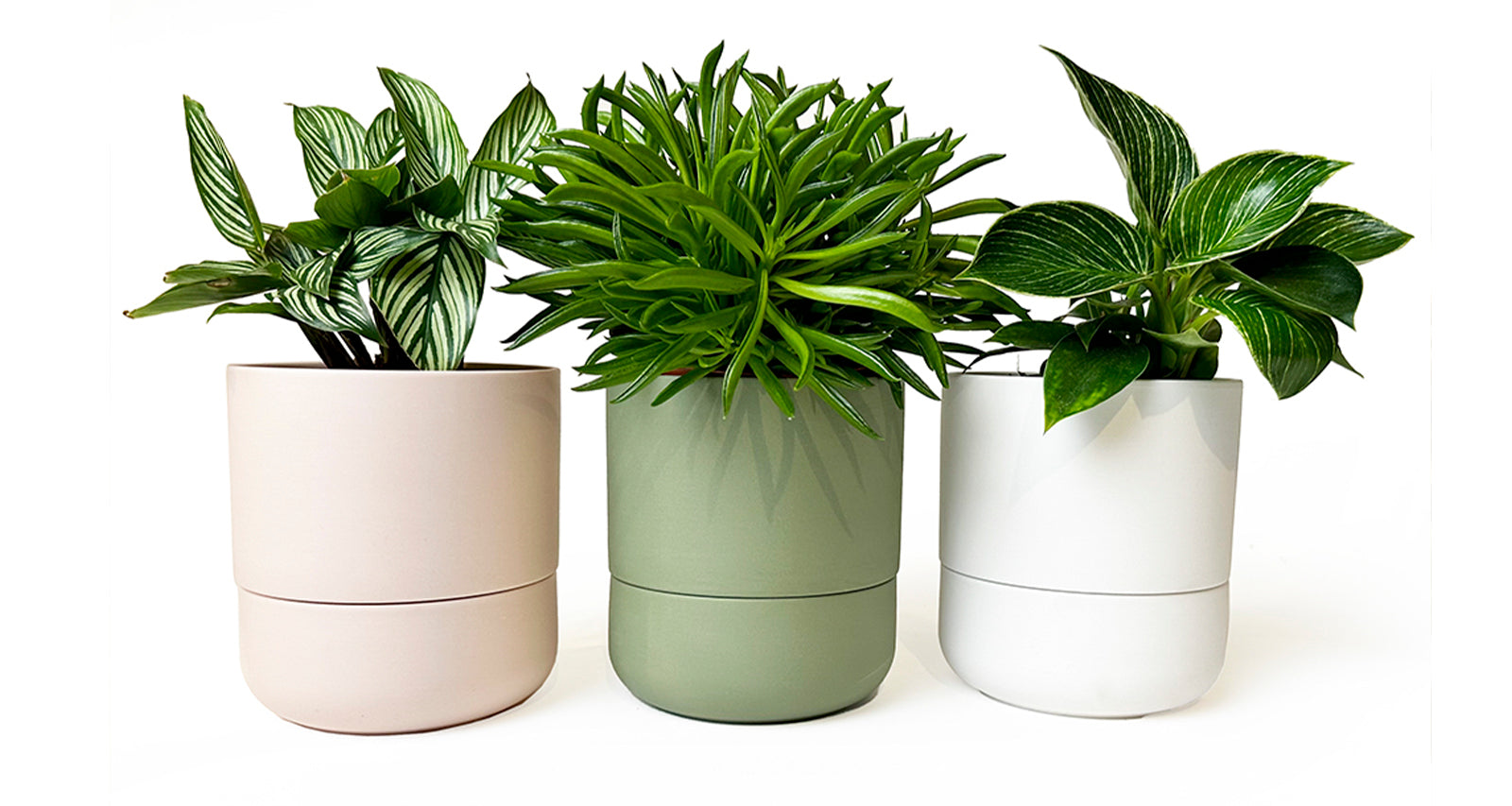 Self Watering Plant Pots Indoor: A Horticultural Salvation - Chive Ceramics Studio