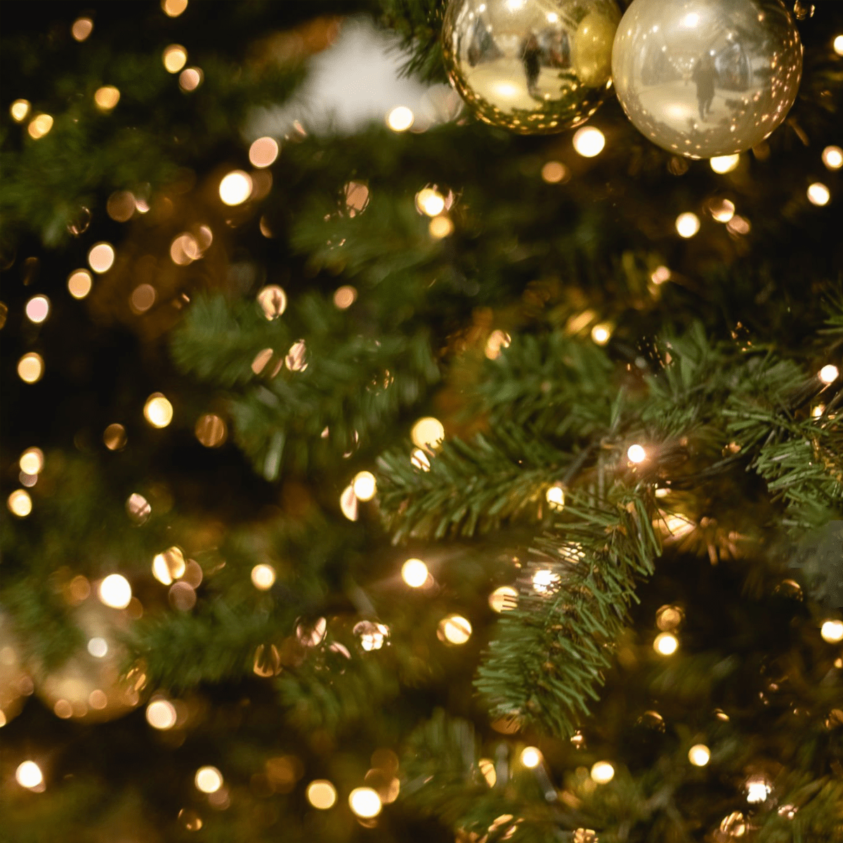 Dog Lover Christmas Ornaments - Pet Holiday Tree Decorations - Chive Ceramics Studio