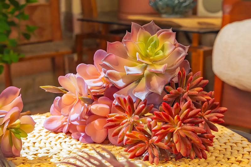 Chive realistic pink-yellow faux succulent echeveria stems arranged on a woven round mat on a wood table — with lifelike color gradients and leaf textures