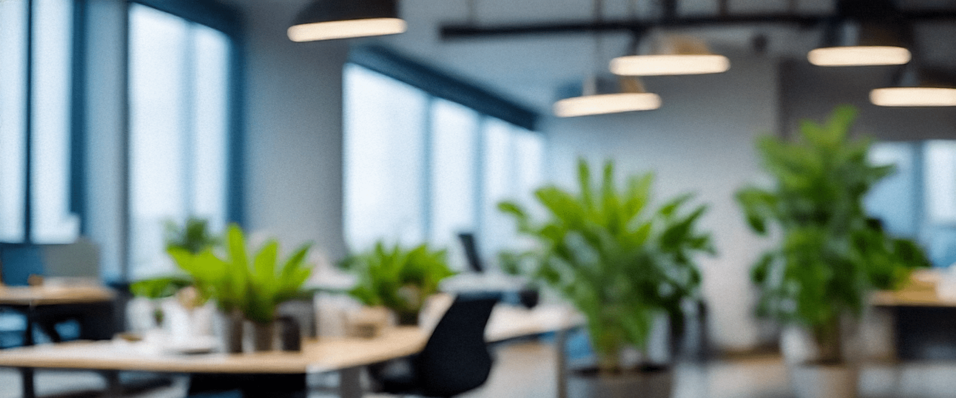 Large Plants for the Office - Chive Ceramics Studio