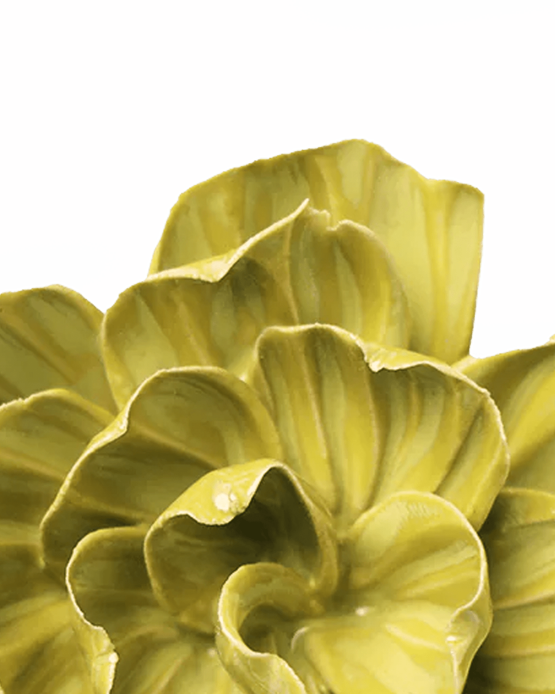 February birth flower: the primrose in handmade ceramic - Chive Studio