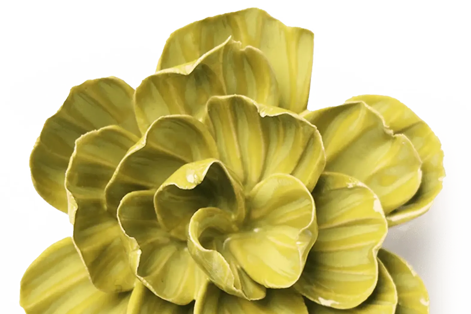 February birth flower: the primrose in handmade ceramic - Chive Studio