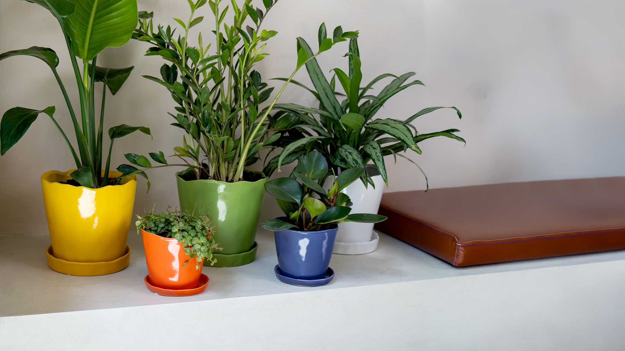 Indoor Plant Ceramic Pots With Drainage Hole And Saucer - Chive Ceramics Studio