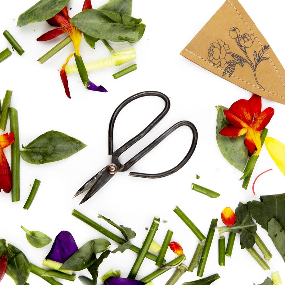 Plant Accessories — Misters & Care Tools