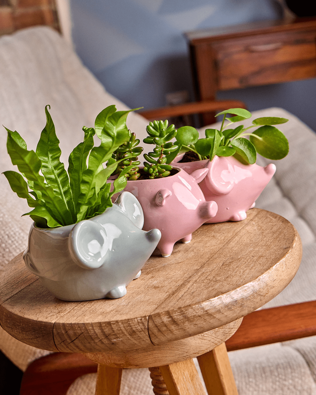 Ceramic Indoor Animal Pots - Chive Ceramics Studio