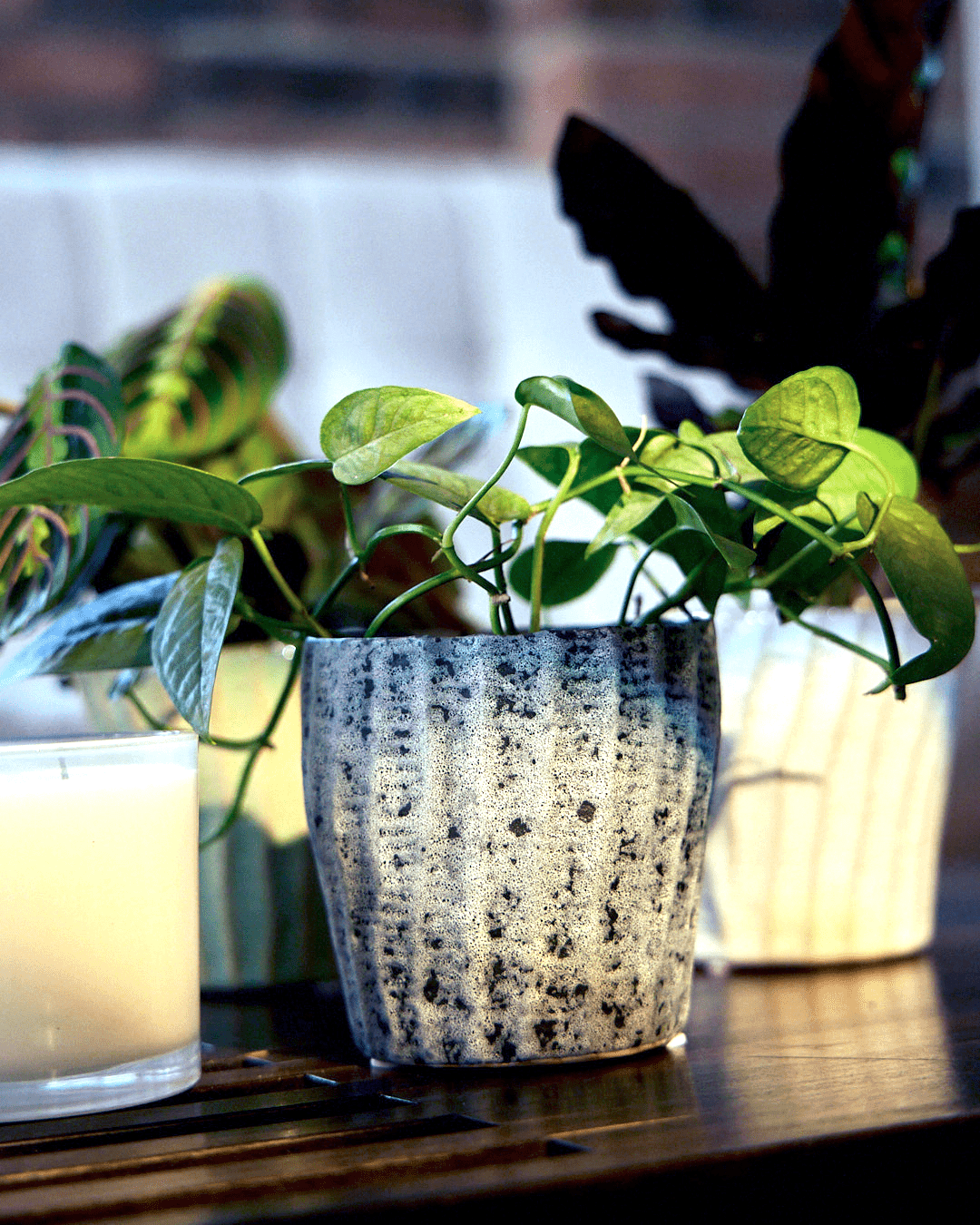 Ceramic Indoor Pots without Drainage - Chive Ceramics Studio