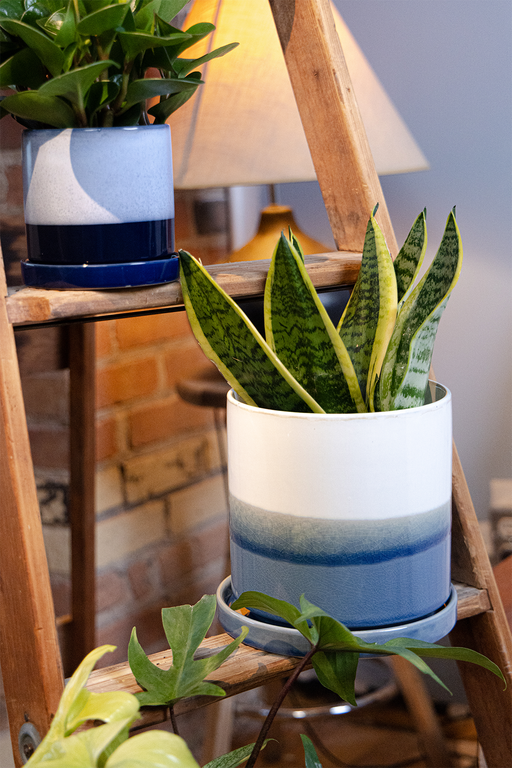 Large Indoor Plant Pots With Drainage Hole And Saucer - Chive Ceramics Studio