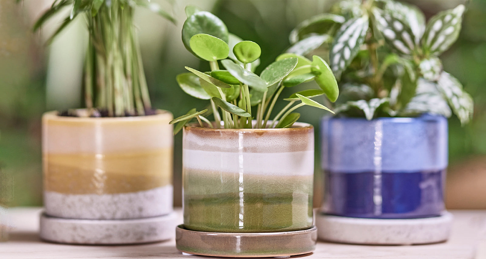Ceramic Indoor Pots with Drainage - Chive Ceramics Studio