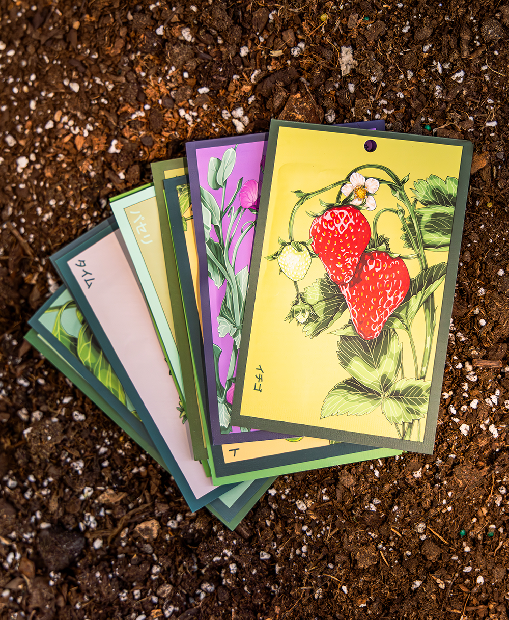 Fruit & Berry Seeds