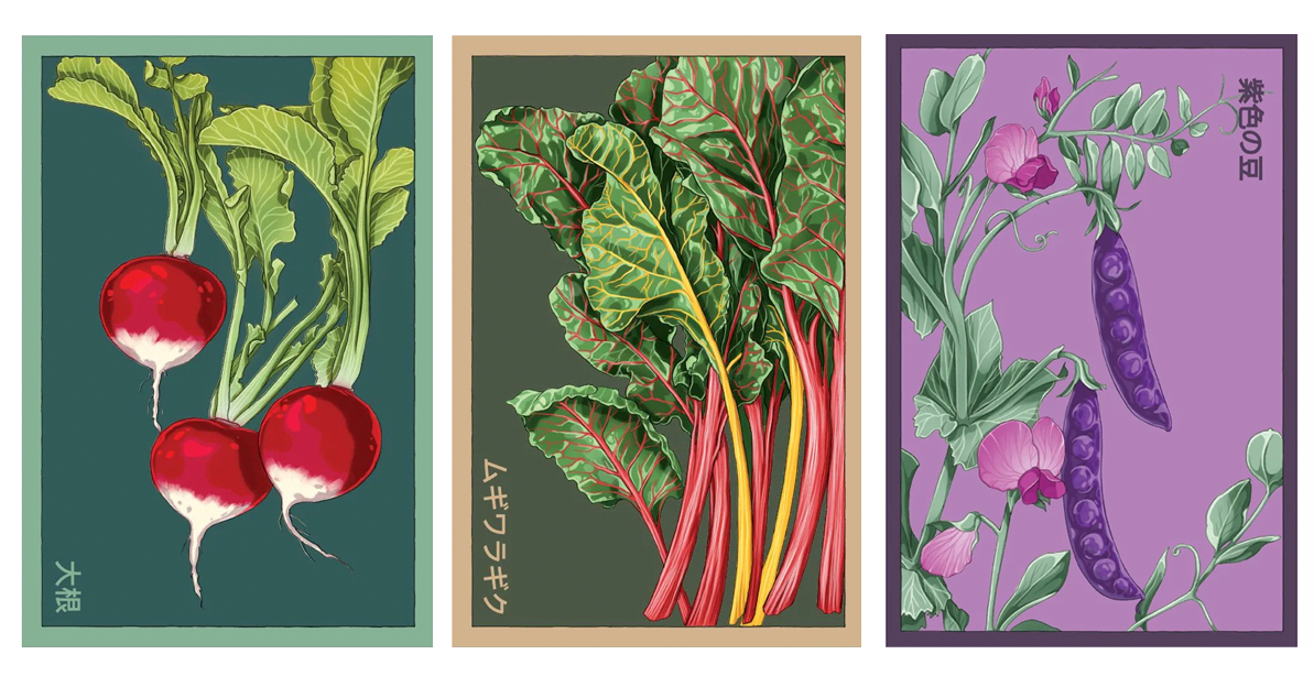 Vegetable Seeds — Heirloom & Hybrid