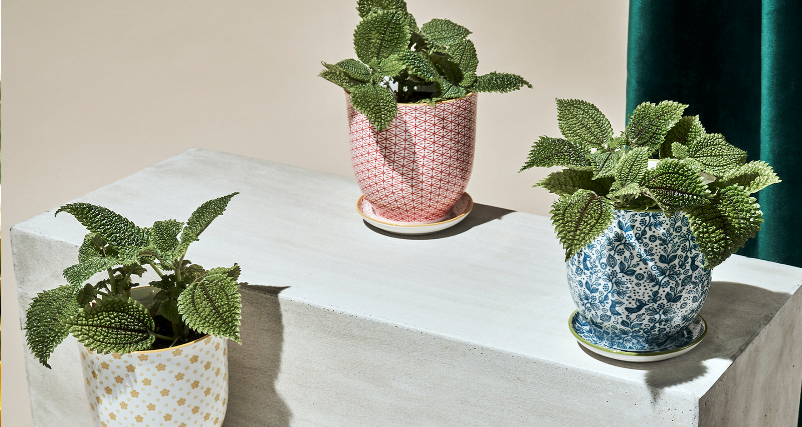 Medium Indoor Plant Pots With Drainage Hole And Saucer - Chive Ceramics Studio