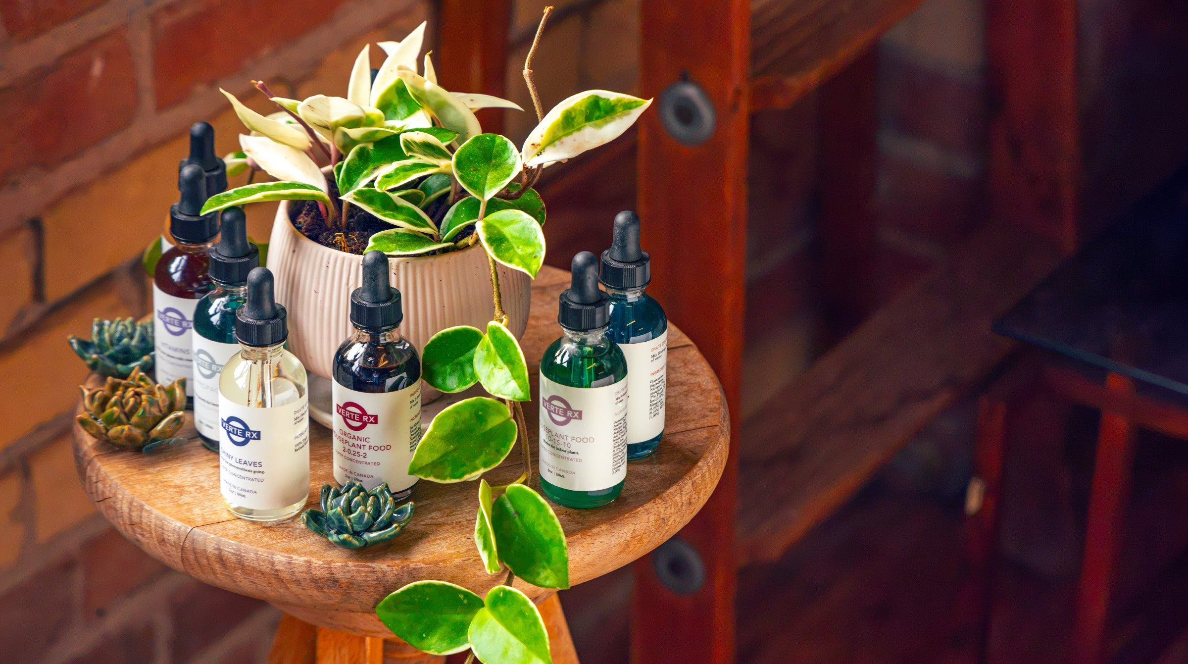 Verte Rx Plant Food and Vitamin Collection - Chive Ceramics Studio - Chive Ceramics Studio