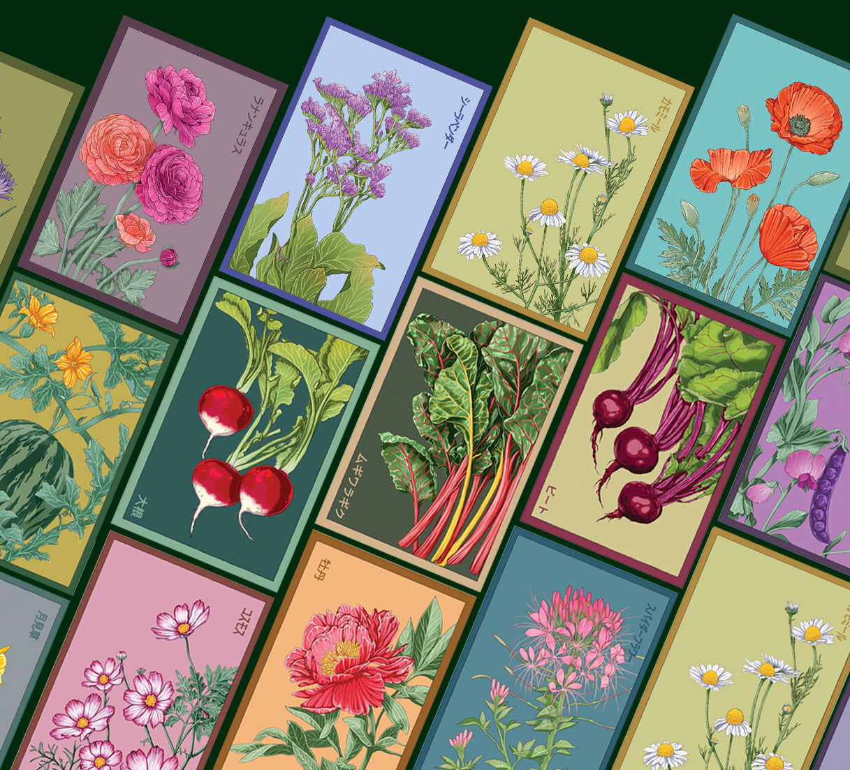 Shido seed packets for vegetable and floral category, by chive studio