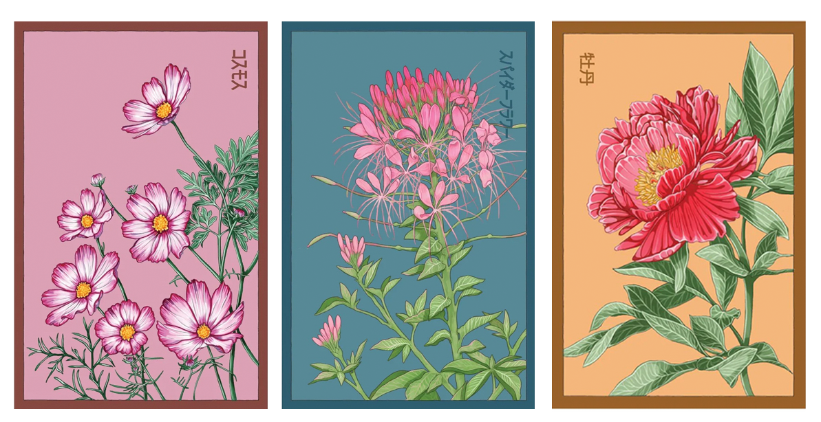 Set of colorful floral Shido Seed packets with floral design on a soil background by Chive Studio