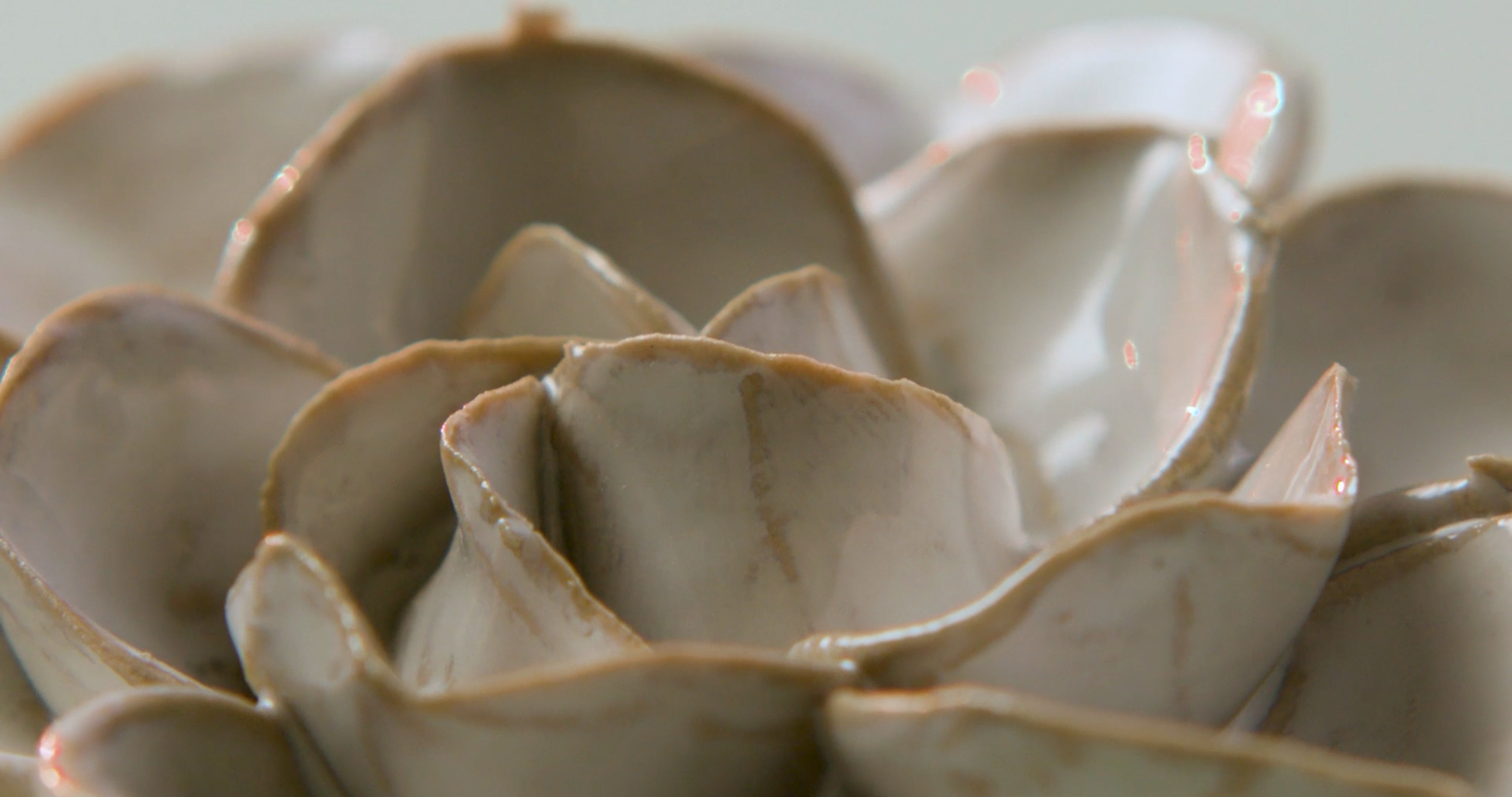 Ceramic Flowers Costal Collection - Chive Ceramics Studio