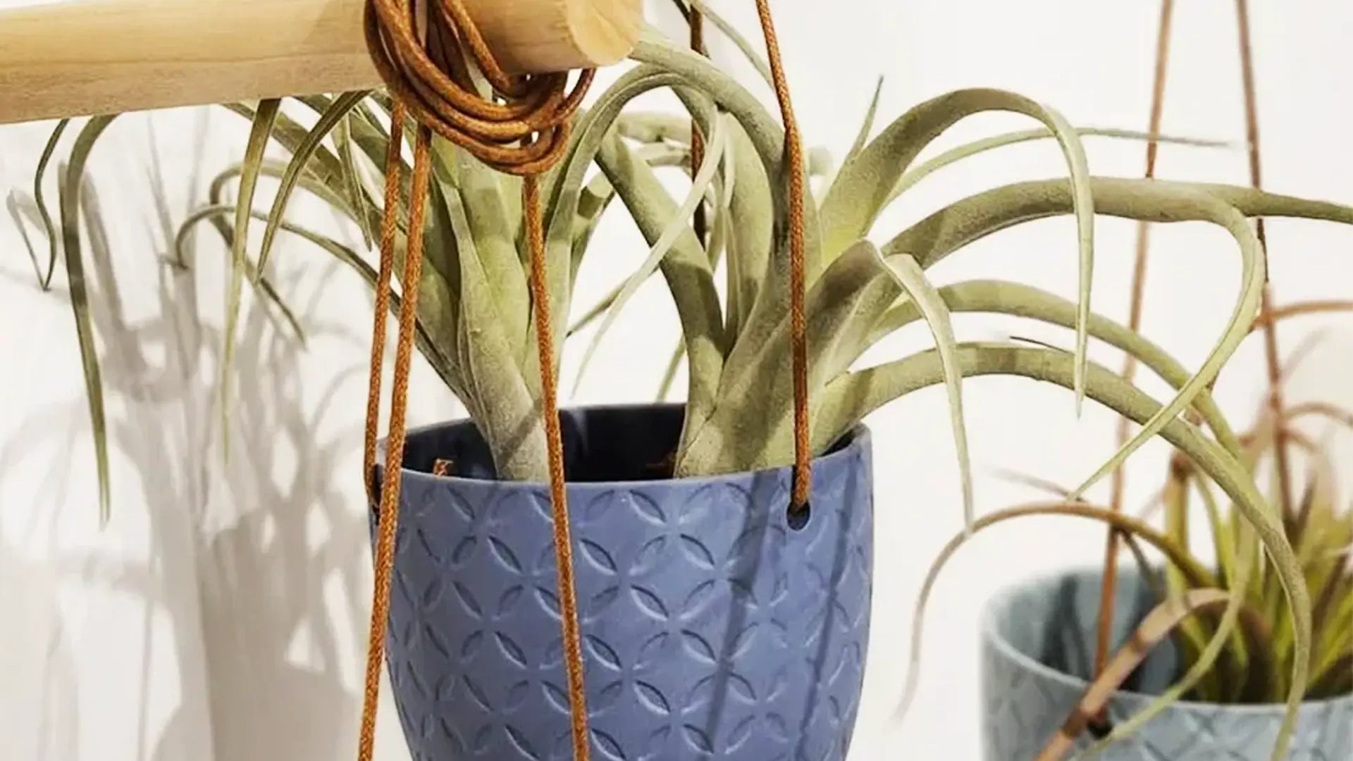 Wood Wall Hook For Planters - Chive Ceramics Studio - Tools & Accessories - Chive US