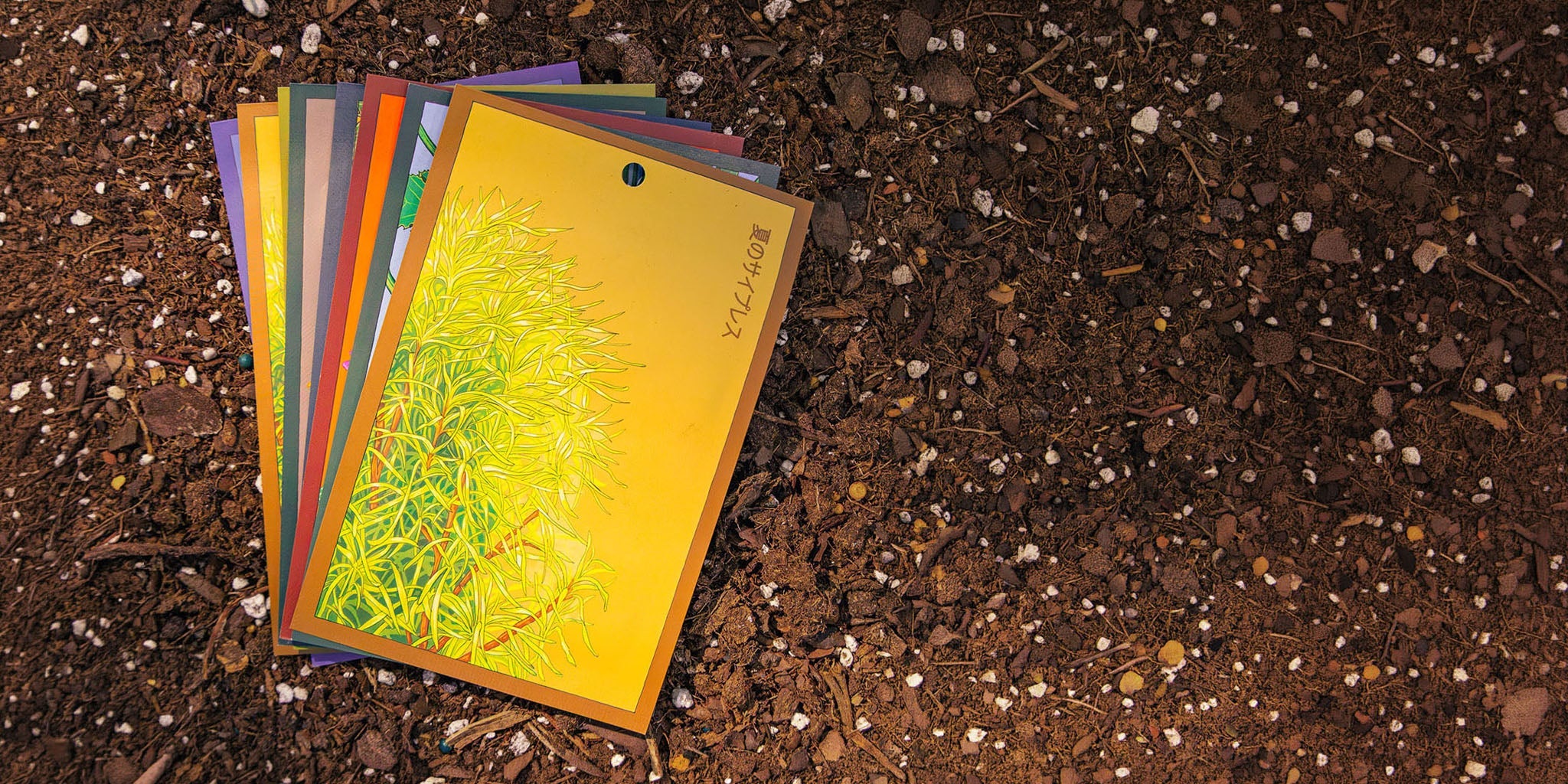 Eight packets of houseplant seeds from the Shido collection, arranged together — by Chive Studio