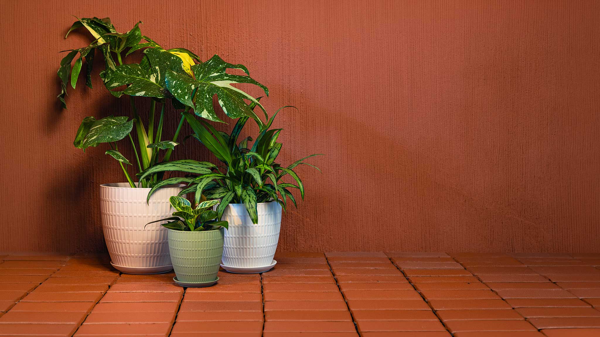 Large Indoor Plant Pots With Drainage Hole And Saucer - Chive Ceramics Studio