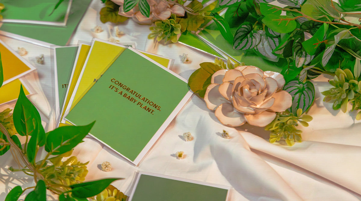 Plant lover cards with illustrated houseplant designs, fanned out — by Chive Studio