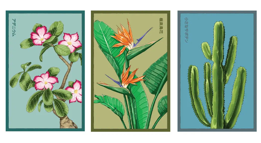 Houseplant Seeds — Indoor Varieties