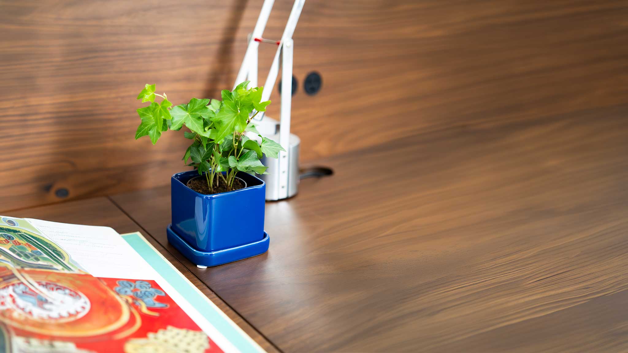 Small Plant Pots — Small Indoor Plant Pots in Glazed Ceramic
