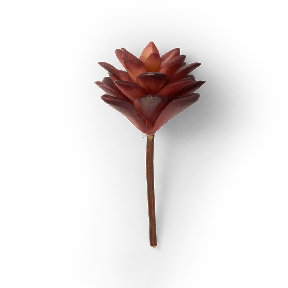 Premium Artificial Succulents - Lifelike Botanical Decor - Chive Ceramics Studio - Chive US Wholesale