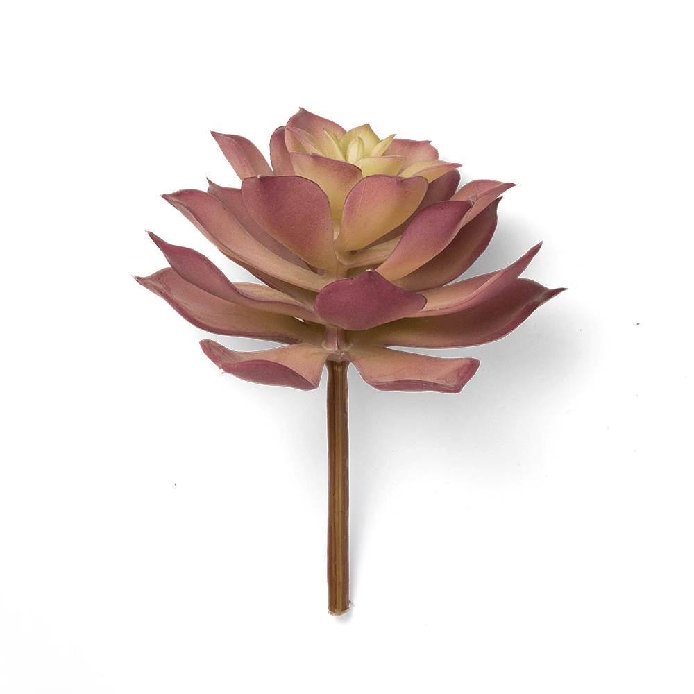 Premium Artificial Succulents - Lifelike Botanical Decor - Chive Ceramics Studio - Chive US Wholesale