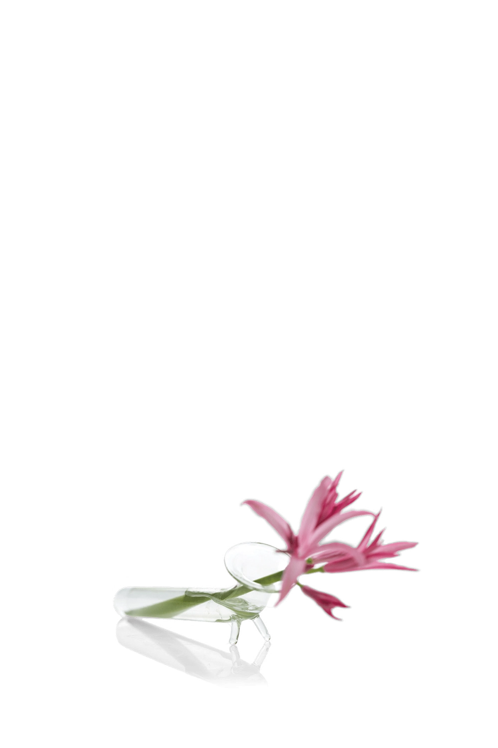 Clear Glass Bud Vases - Test Tube - handmade by Chive Studio Toronto