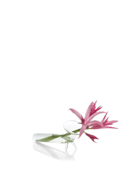 Glass Tube Vase - Slim Bud Vase, Three Mounts | Chive