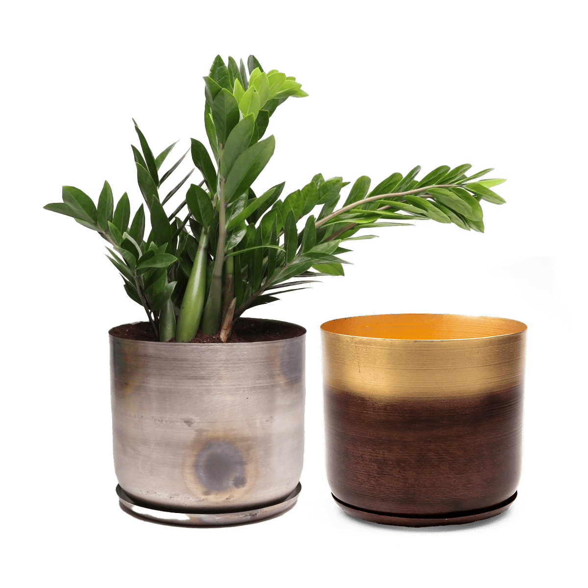 Joe Metal Pot With Drainage Hole | 7, 8, 10 & 12 inches - Chive Ceramics Studio - Pots - Chive Ceramics Studio