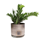 Joe Metal Pot With Drainage Hole | 7, 8, 10 & 12 inches - Chive Ceramics Studio - Pots - Chive Ceramics Studio