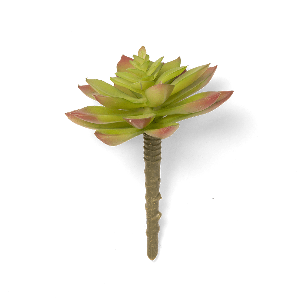 Premium Artificial Succulents - Lifelike Botanical Decor - Chive Ceramics Studio - Chive US Wholesale