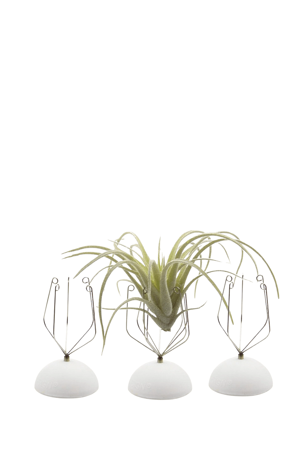 White Air Plant Holder Wall Glass - handmade by Chive Studio Toronto