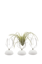 White Air Plant Holder Wall Glass - handmade by Chive Studio Toronto