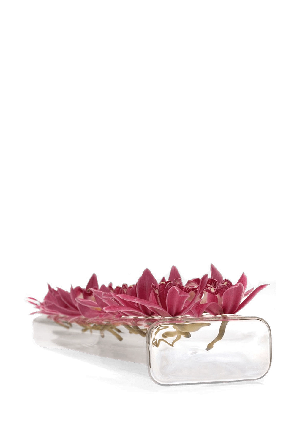 Clear Glass Modern Clear Flower Case - Rectangle Flute - handmade by Chive Studio Toronto
